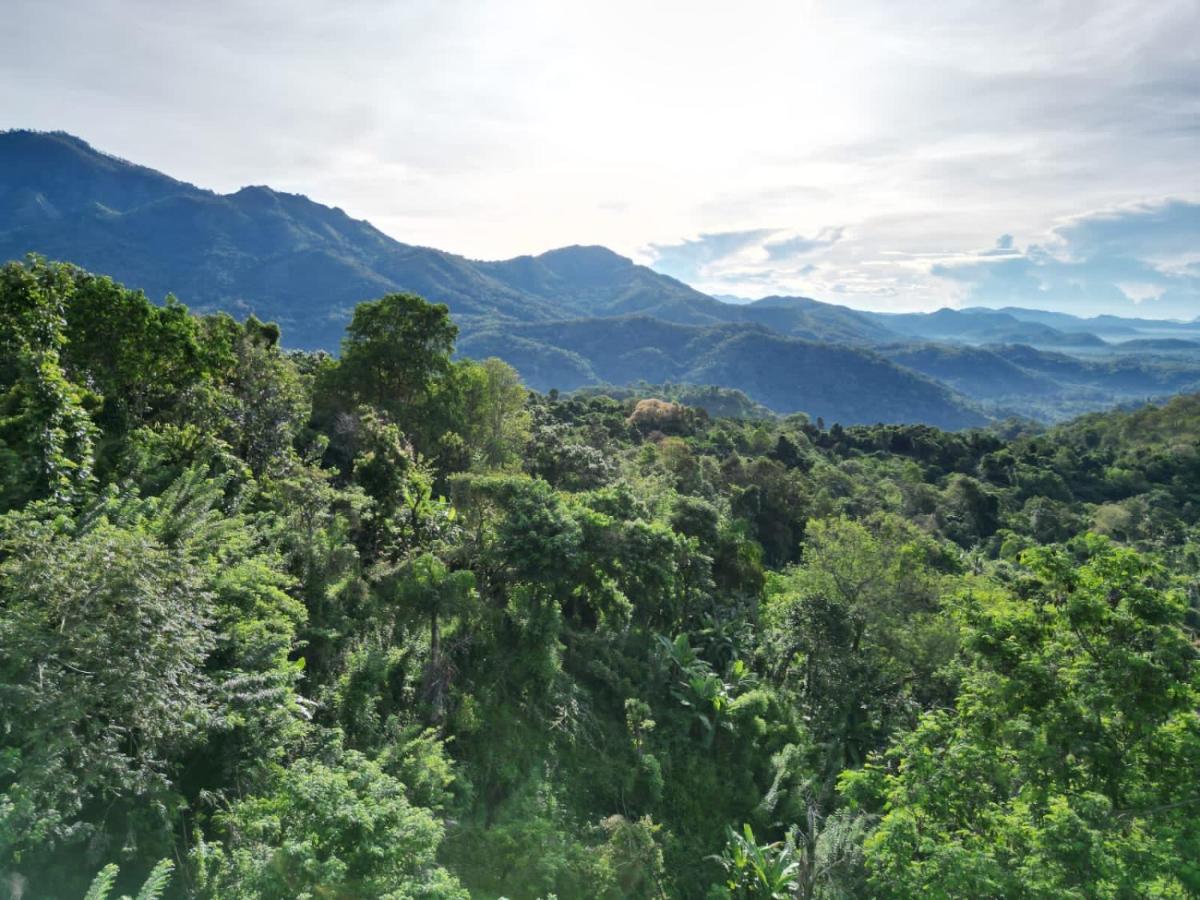Eagle View Villa Ella Buitenkant foto